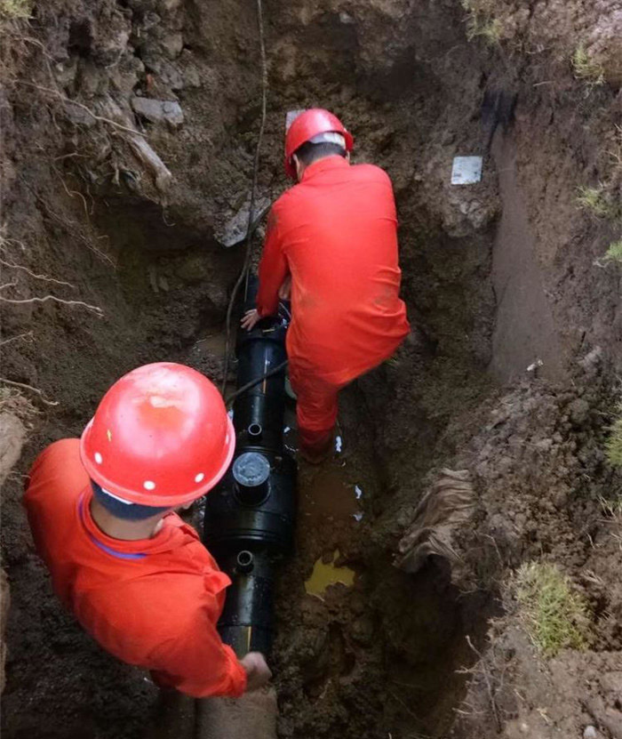 ���I(l��ng)��(d��o)����̎��(du��)�_չ�ǅ^(q��)ȼ?x��)�ܵ��`��ռ?j��)���r���(xi��ng)�z��